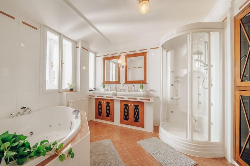 Magnificent Historical Penthouse In The Heart Of Prague公寓 外观 照片