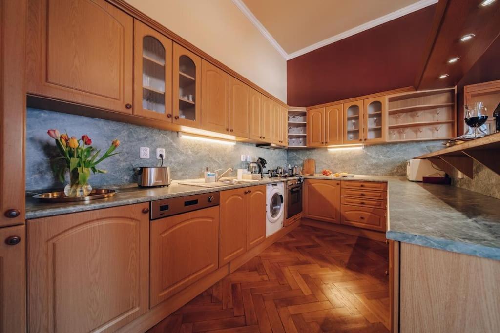 Magnificent Historical Penthouse In The Heart Of Prague公寓 外观 照片